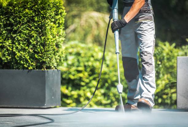 Best Roof Cleaning and Mildew Removal in Port Republic, NJ