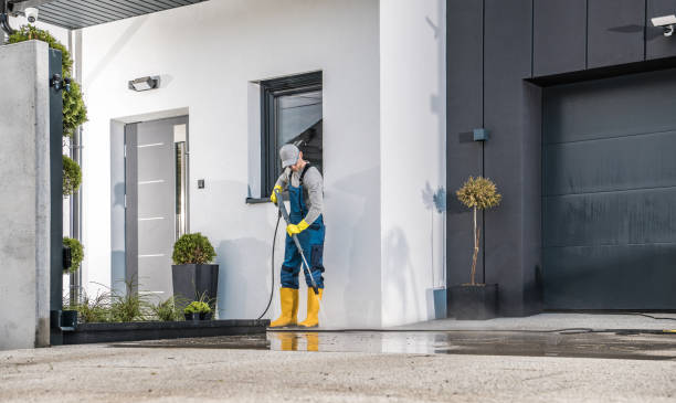 Best Building Exterior Pressure Washing in Port Republic, NJ